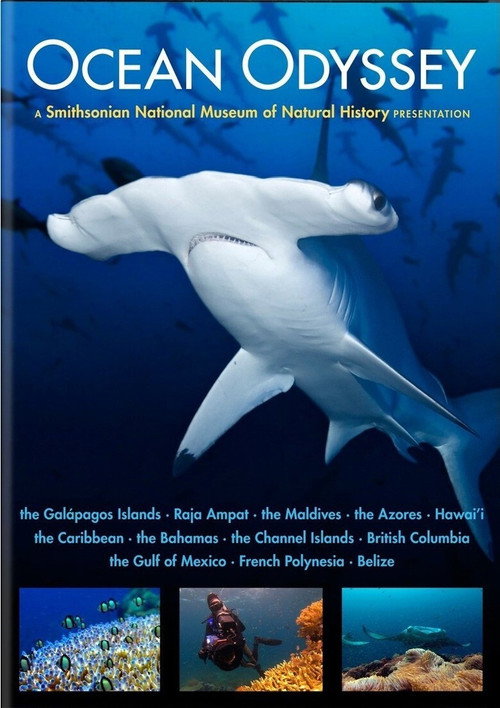 Movie poster for Ocean Odyssey (2010)