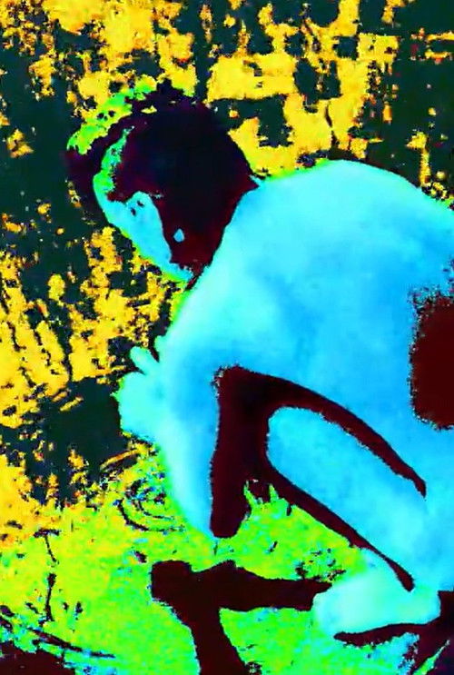 L'un sans l'autre poster