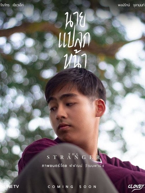 Movie poster for The Stranger (2021)