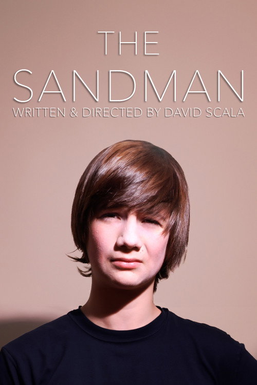 Movie poster for The Sandman (2010)