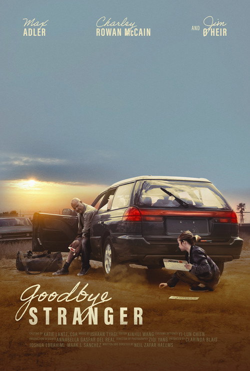 Movie poster for Goodbye Stranger (2025)