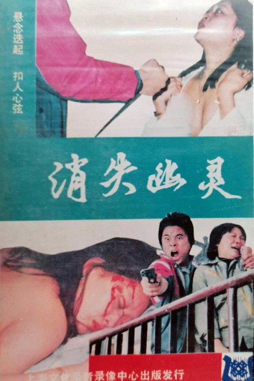 Movie poster for The Disappeared Ghost (1989)