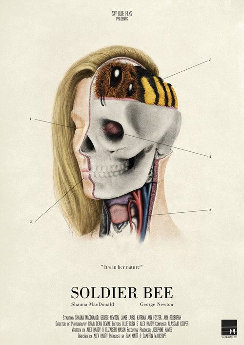Movie poster for Soldier Bee (2017)