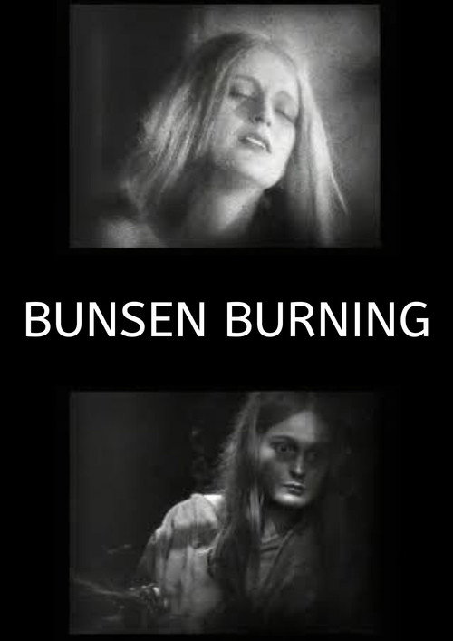 Movie poster for Bunsen Burning (2026)