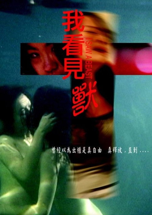 Movie poster for I Saw A Beast (2007)