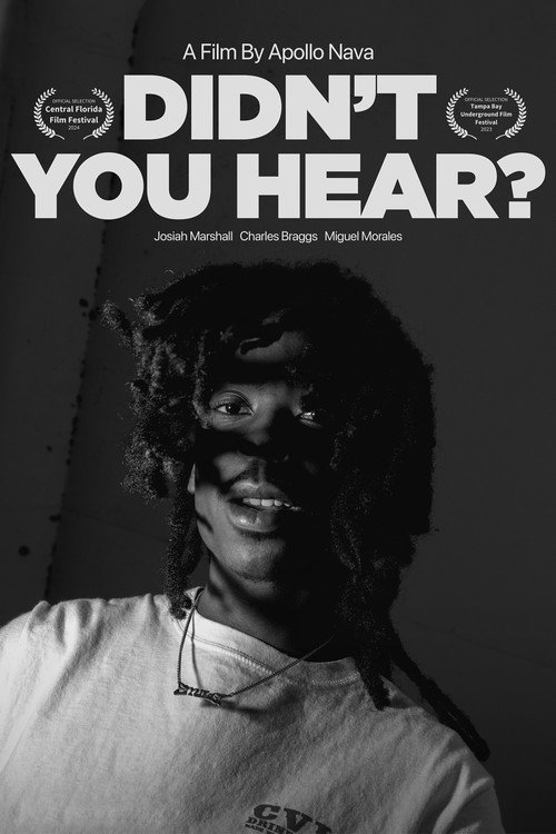 Movie poster for Didn't You Hear? (2023)