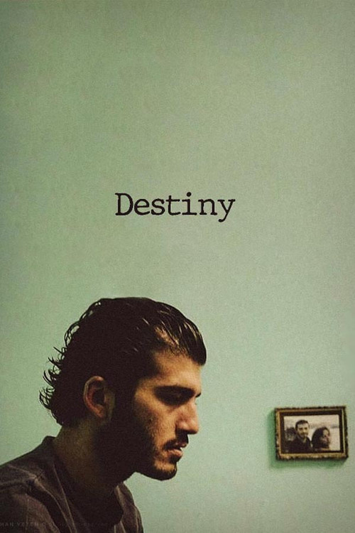 Movie poster for Destiny (2006)