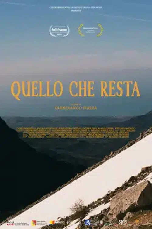 Movie poster for Quello che resta (2024)
