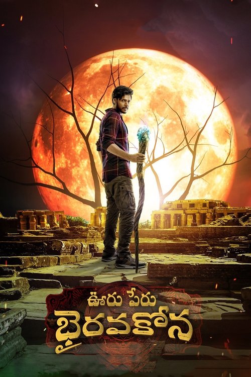 Movie poster for Ooru Peru Bhairavakona (2024)