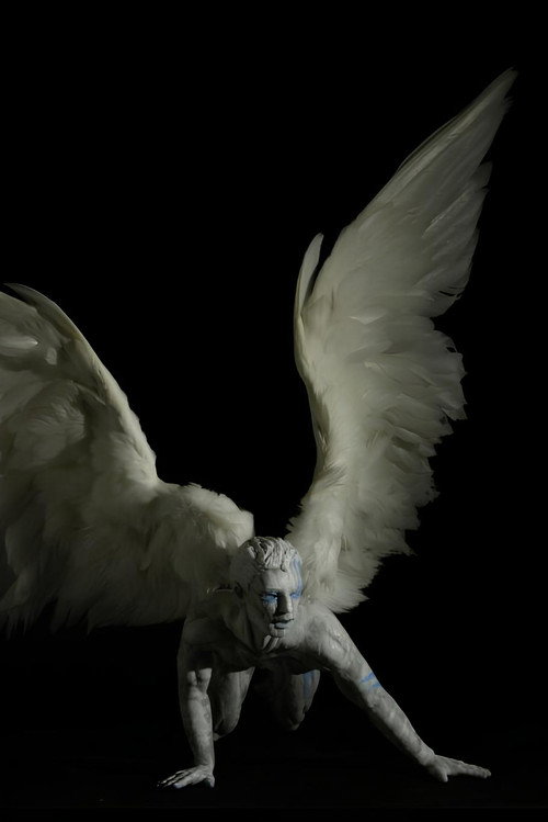 Movie poster for Plume (2011)