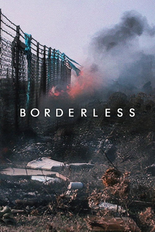 Movie poster for Borderless (2019)