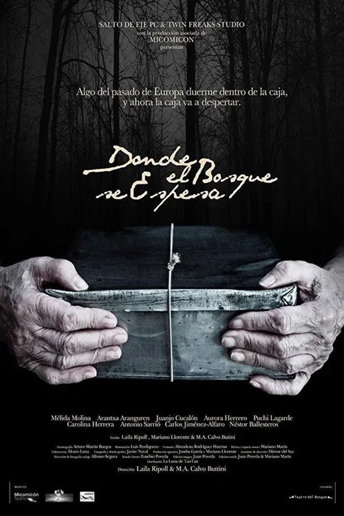 Movie poster for Where the Forest Thickens (2017)