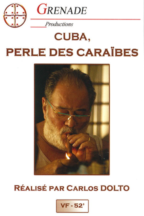 Movie poster for Le Gros Homme et la mer - Carlos à Cuba (2004)