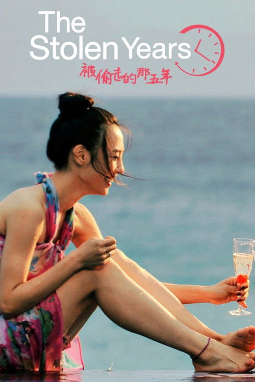 Movie poster for The Stolen Years (2013)