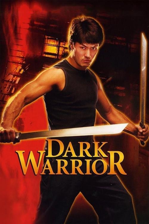 Movie poster for Dark Warrior (2007)