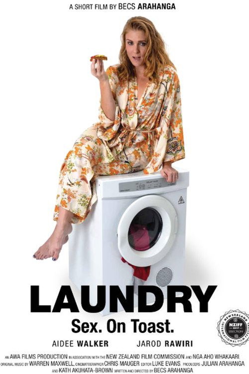 Movie poster for Laundry (2017)