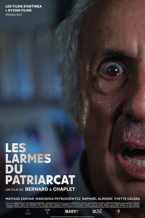 Movie poster for Les Larmes du Patriarcat (2026)