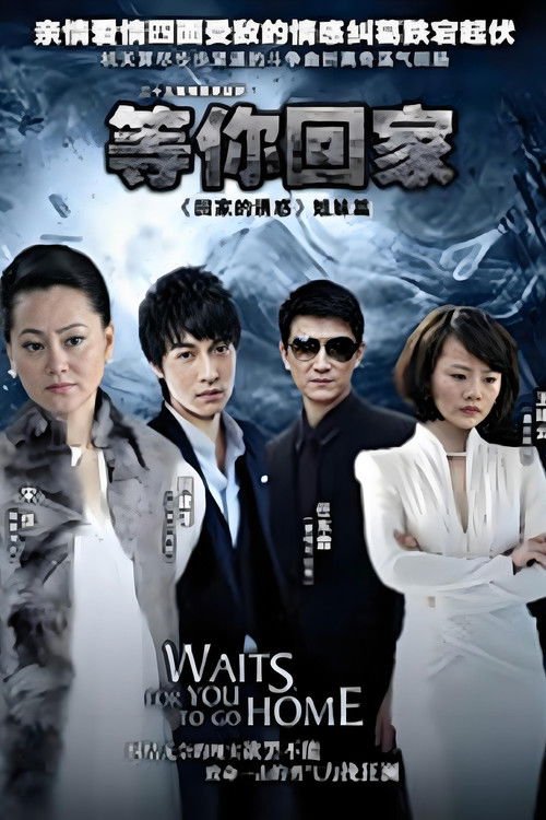 Waits for you to go home poster