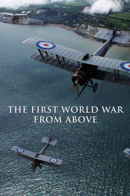 Movie poster for The First World War From Above (2010)