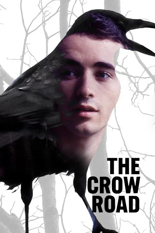 Series poster for The Crow Road (1996)