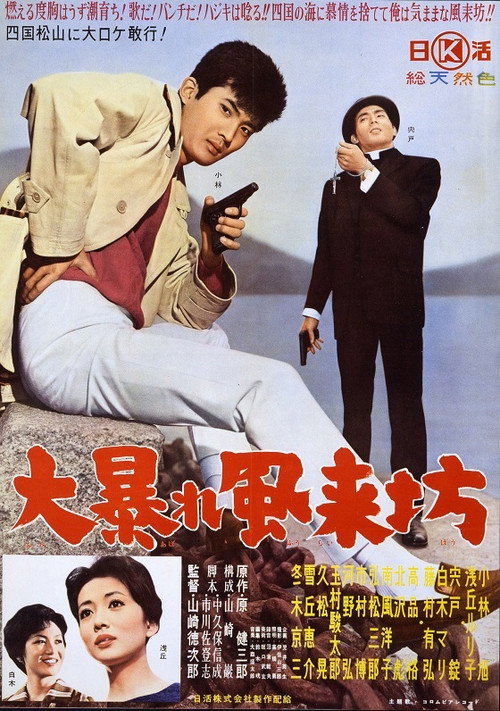 Movie poster for The Angry Rambler (1960)