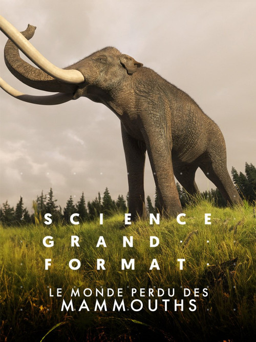 Movie poster for Le monde perdu des mammouths (2022)