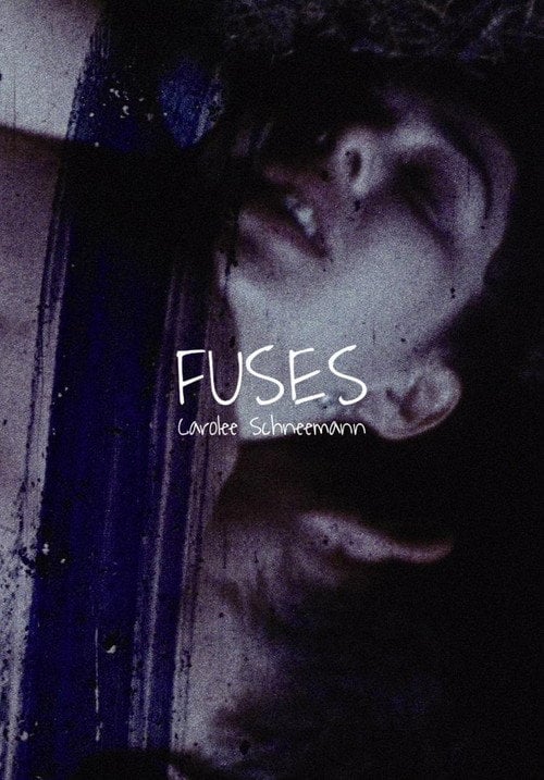 Movie poster for Fuses (1967)