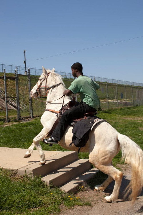 Movie poster for Horse Day (2015)