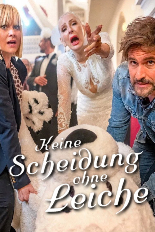 Movie poster for Keine Scheidung ohne Leiche (2025)