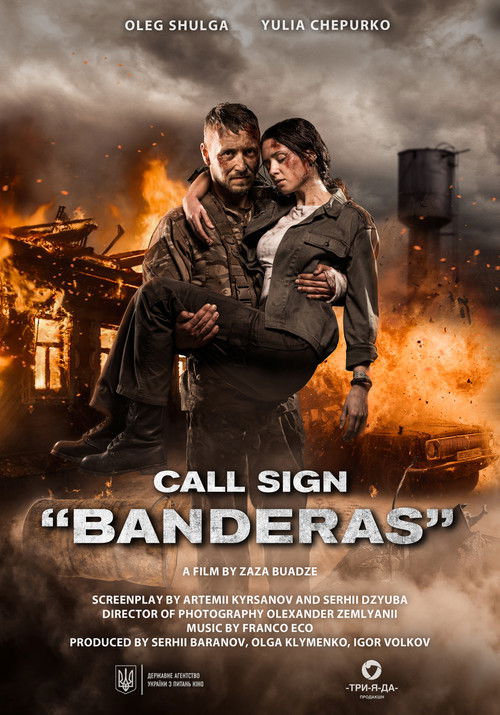 Movie poster for Call Sign "Banderas" (2018)