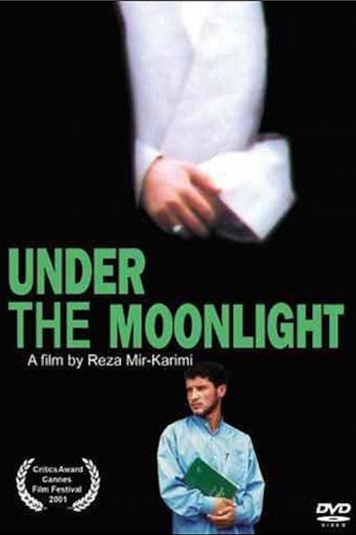 Movie poster for Under the Moonlight (2001)