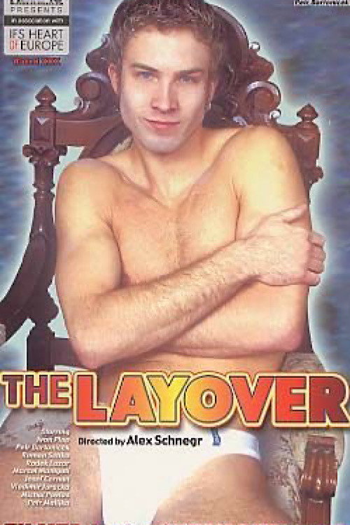 Movie poster for The Layover (2001)
