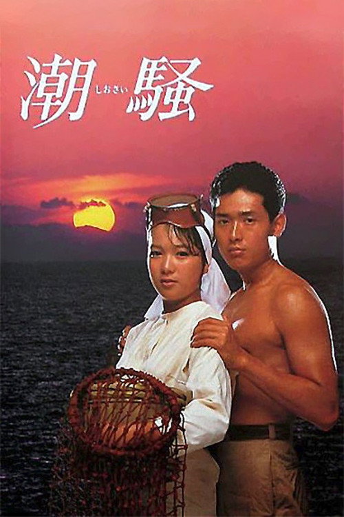 Movie poster for The Sound of the Waves (1985)