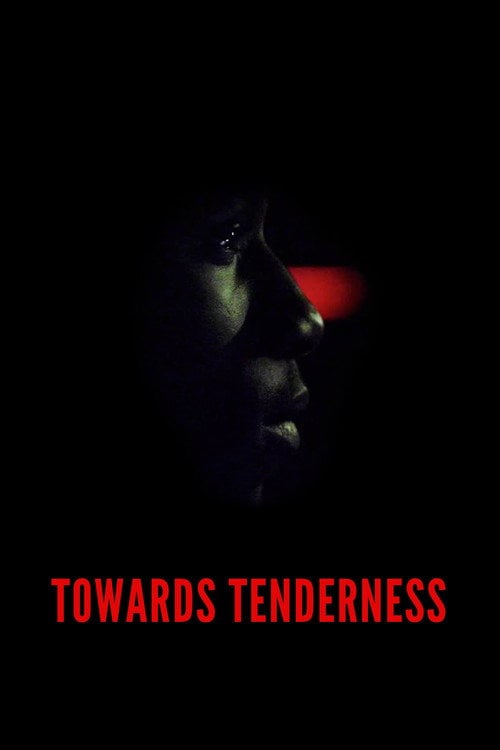 Movie poster for Towards Tenderness (2016)