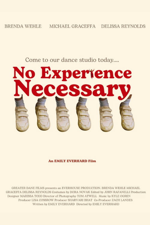 Movie poster for No Experience Necessary