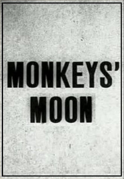 Movie poster for Monkey's Moon (1929)