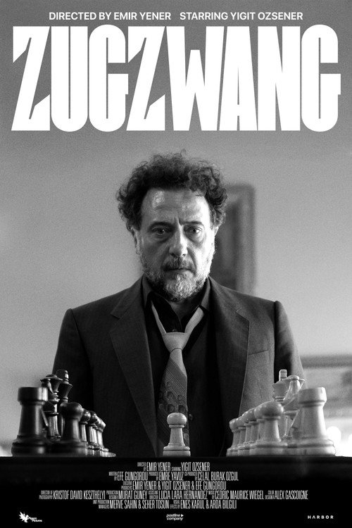 Movie poster for Zugzwang
