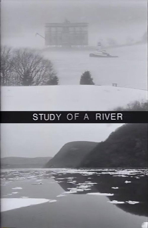 Movie poster for Study of a River (1997)
