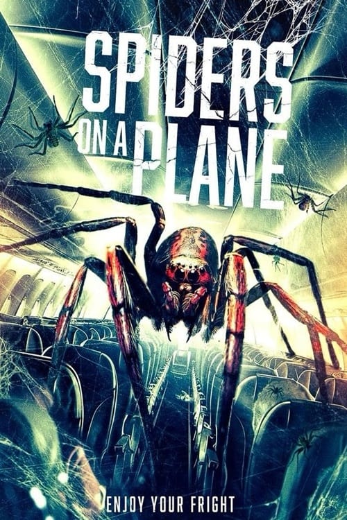 Movie poster for Spiders on a Plane (2024)