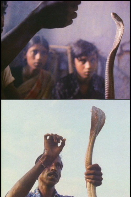 Movie poster for Serpent Mother (1985)