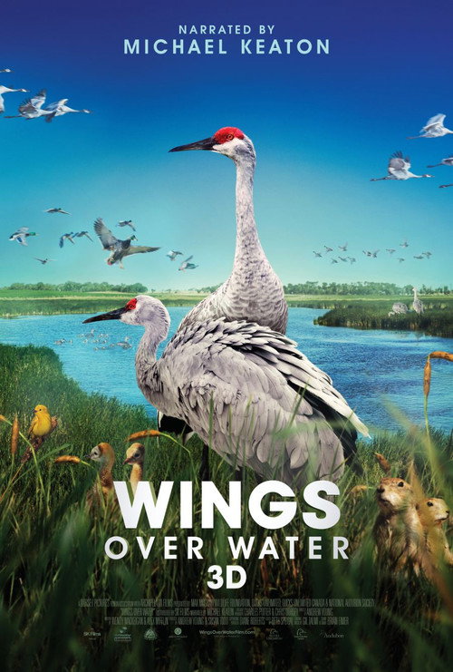 Movie poster for Wings Over Water (2022)
