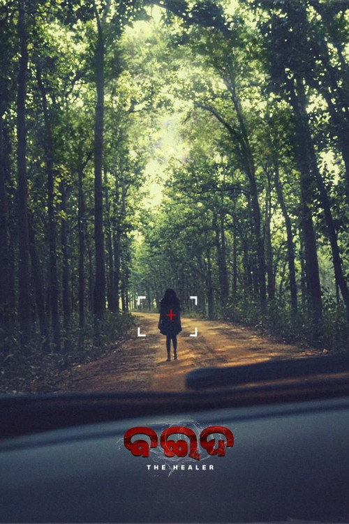 Movie poster for Baida (2025)