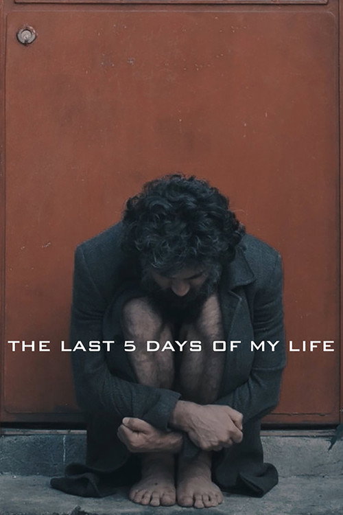Movie poster for The Last 5 Days of My Life (2022)