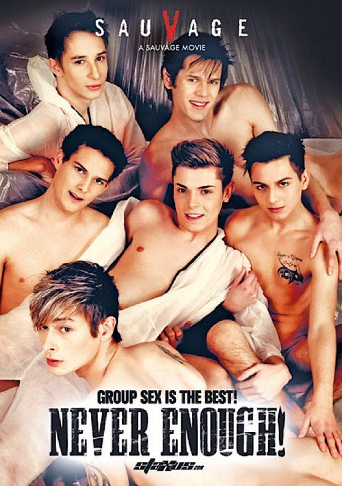 Movie poster for Never Enough (2013)