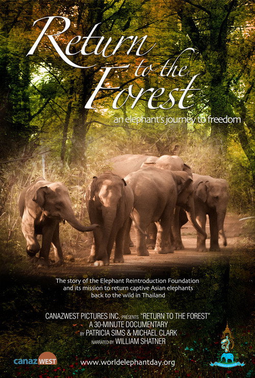 Movie poster for Return to the Forest (2013)