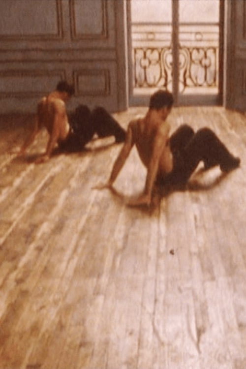 Movie poster for Les Raboteurs (1988)