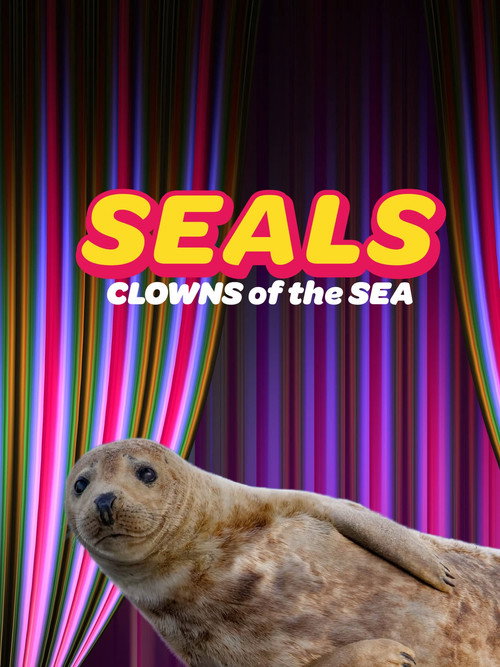 Movie poster for Seals - Clowns of the Sea (2021)