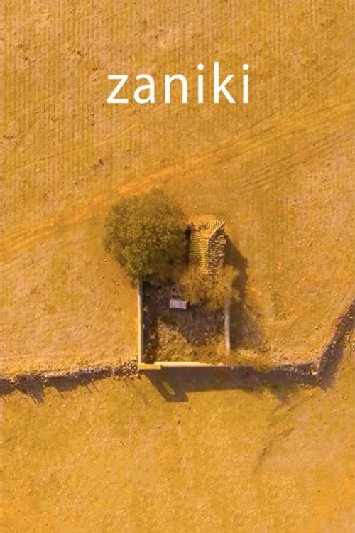 Movie poster for Zaniki (2018)