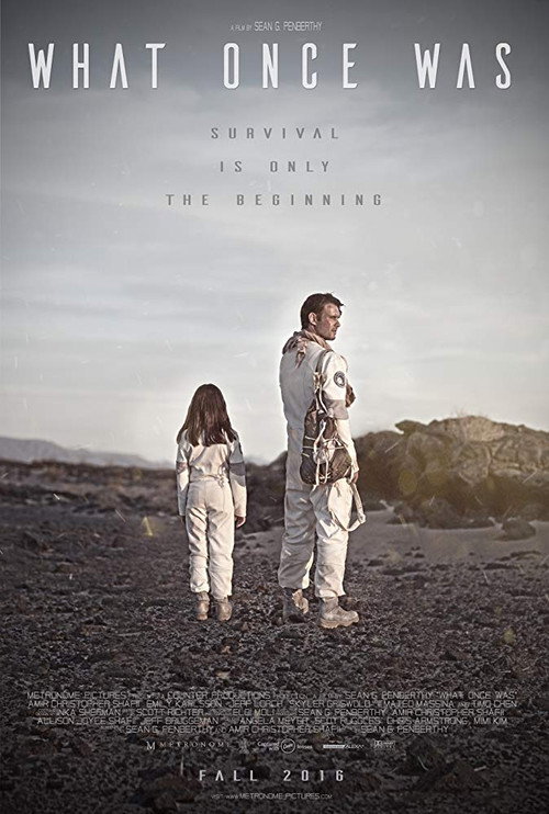Movie poster for What Once Was (2016)