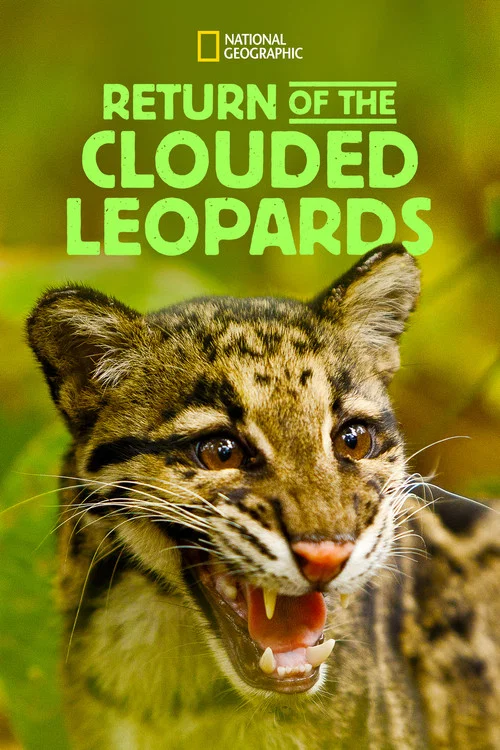 Movie poster for Return of the Clouded Leopards (2012)